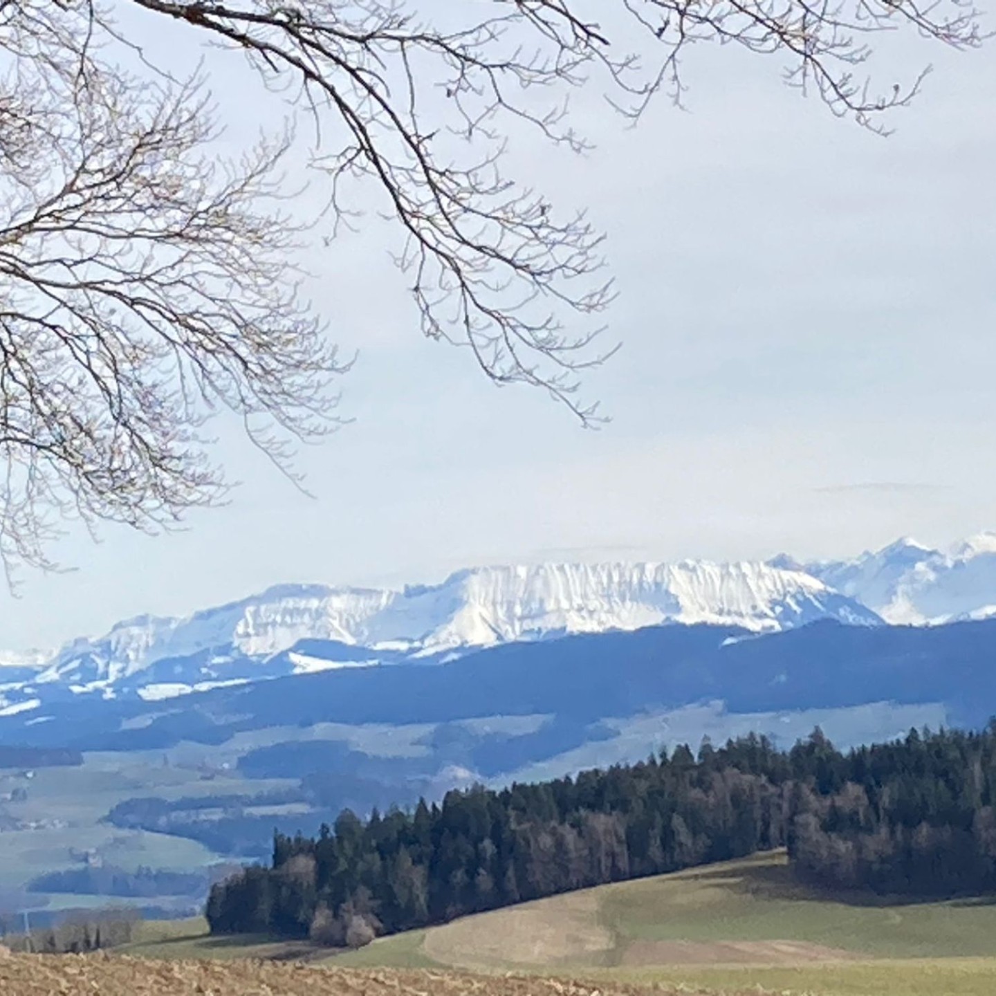 82b9b38e-6ea5-47a5-8188-43a7ba98ce7a