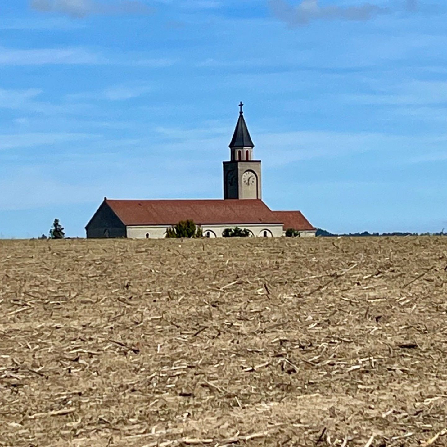 IMG_4475