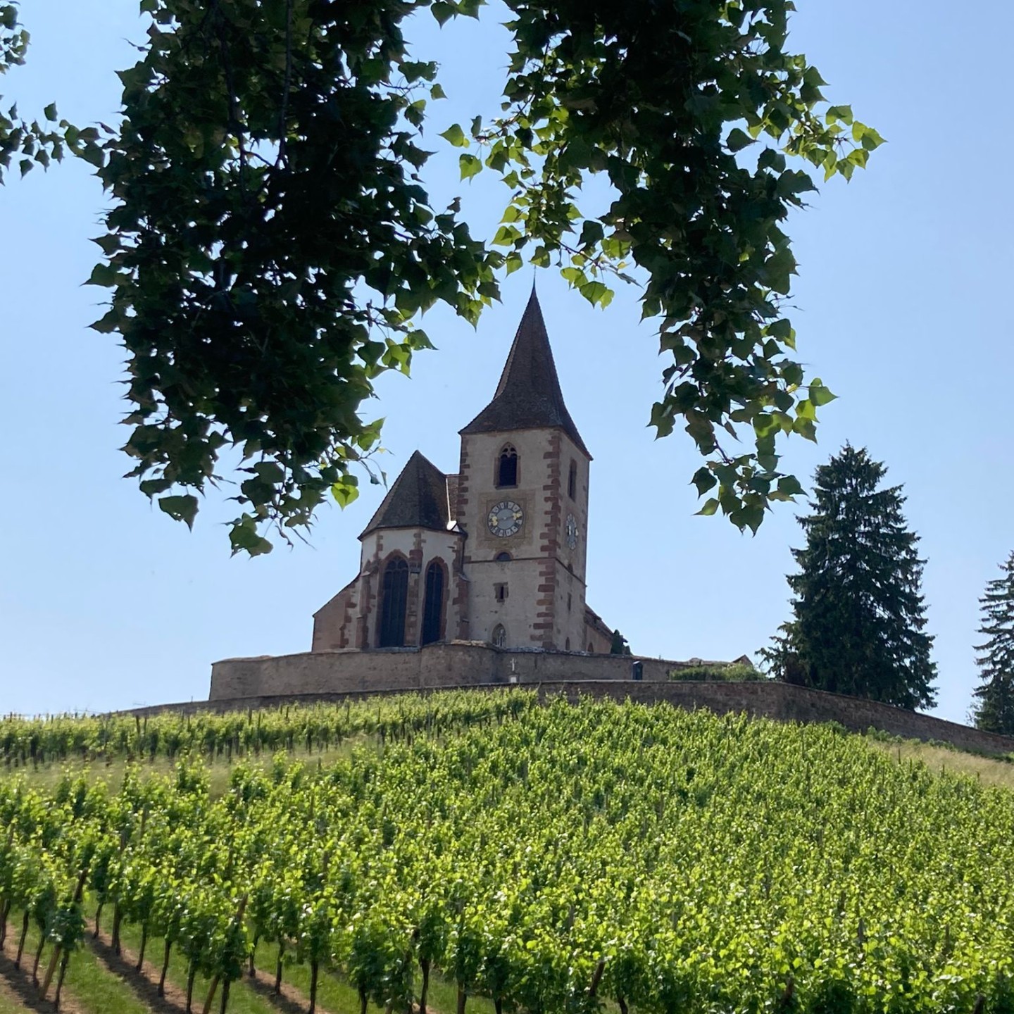 01_alsace