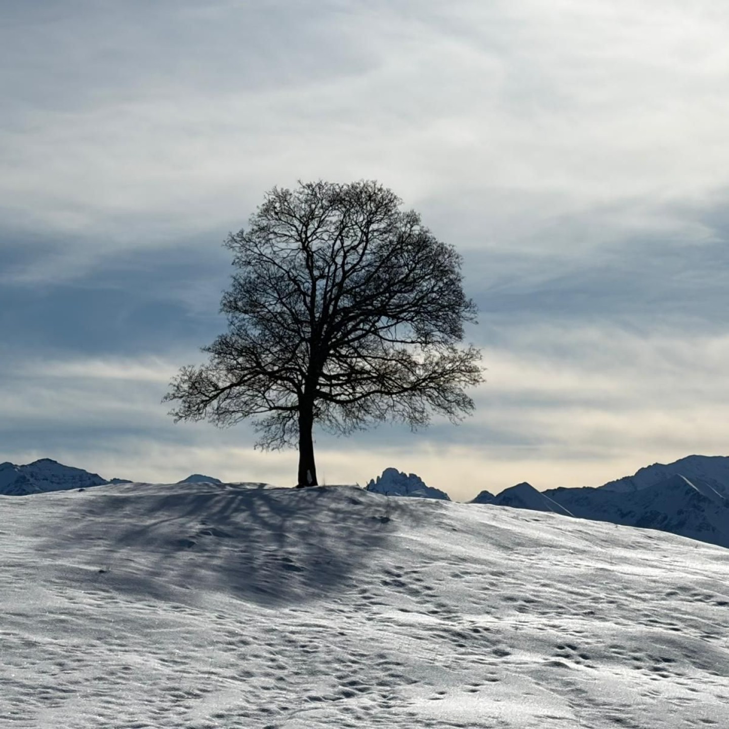 79f8f1e1-5459-45ed-9f31-a81840f57fbb