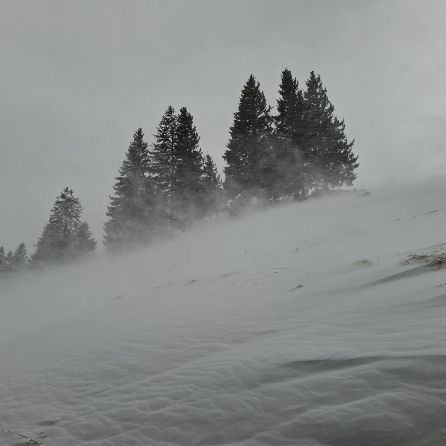 B820e429-801f-4c7a-98ed-0fb748004f7c