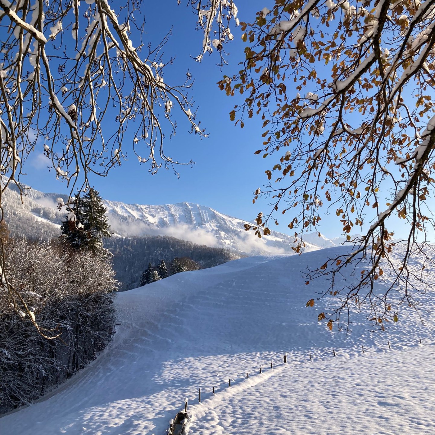 PHOTO-2025-11-25-10-17-58 (3)