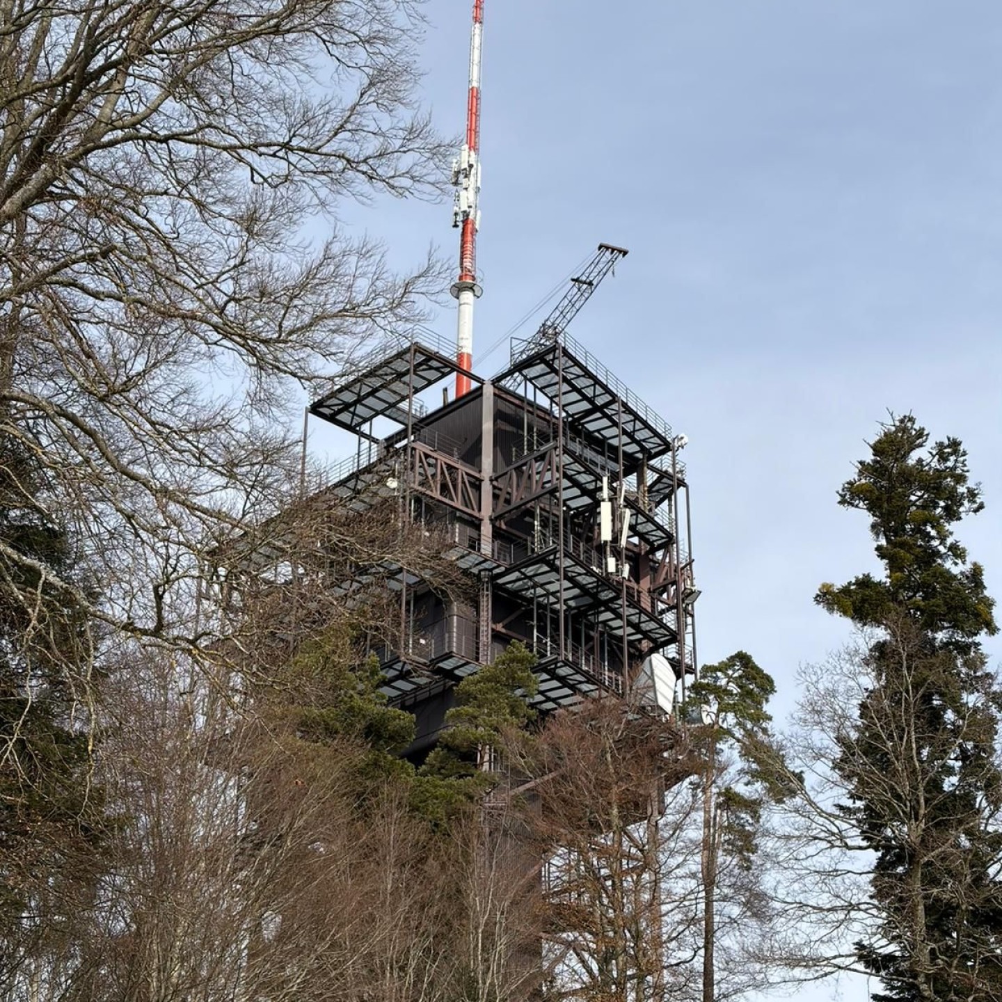 99e4b7db-258e-47de-b1cf-03c0785903aa