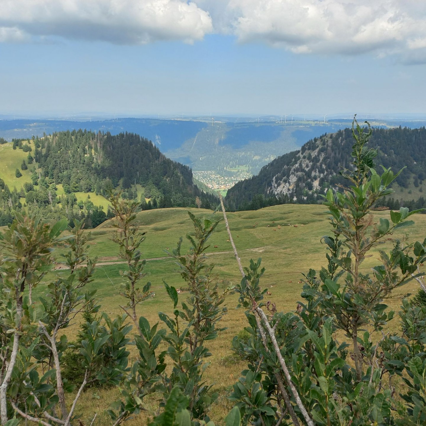 Combe Grède (12)