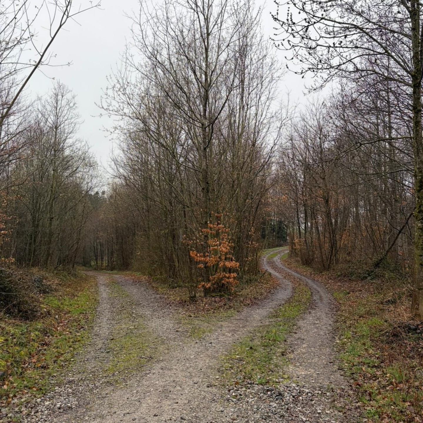 Fcd9ec84-e8b1-4c41-8508-8e6a864ef4f6