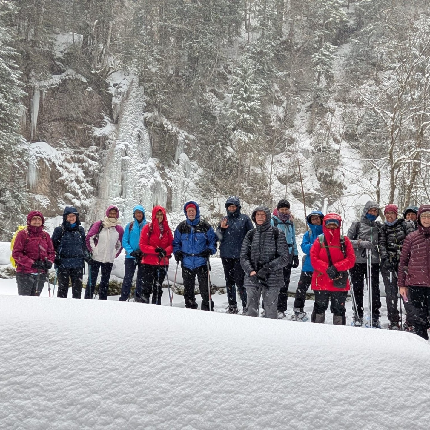 Fd995ec0-14ef-4540-b0c7-d60bb1f5da4c