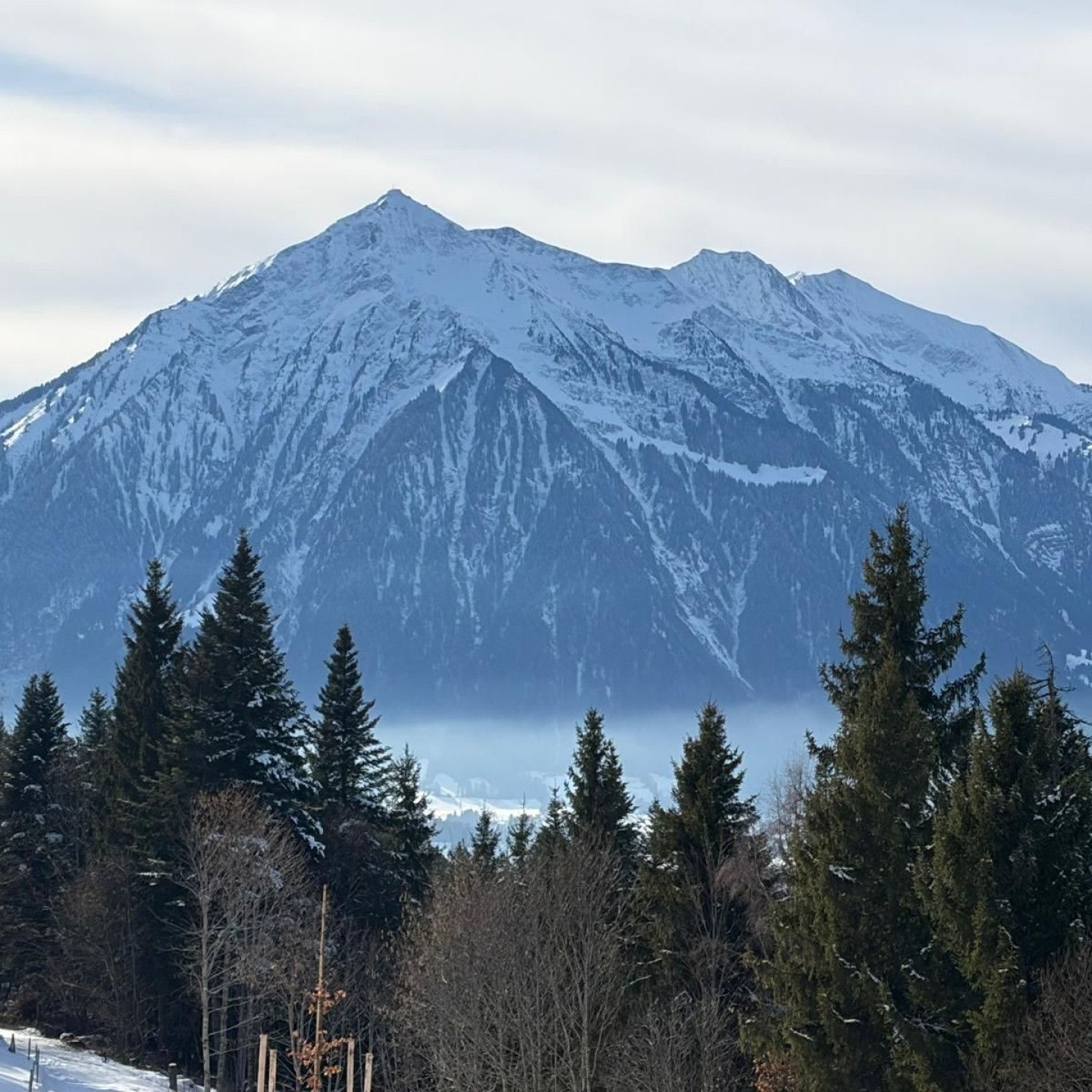 1d32db36-1d94-4678-af18-53b0308e0fbc