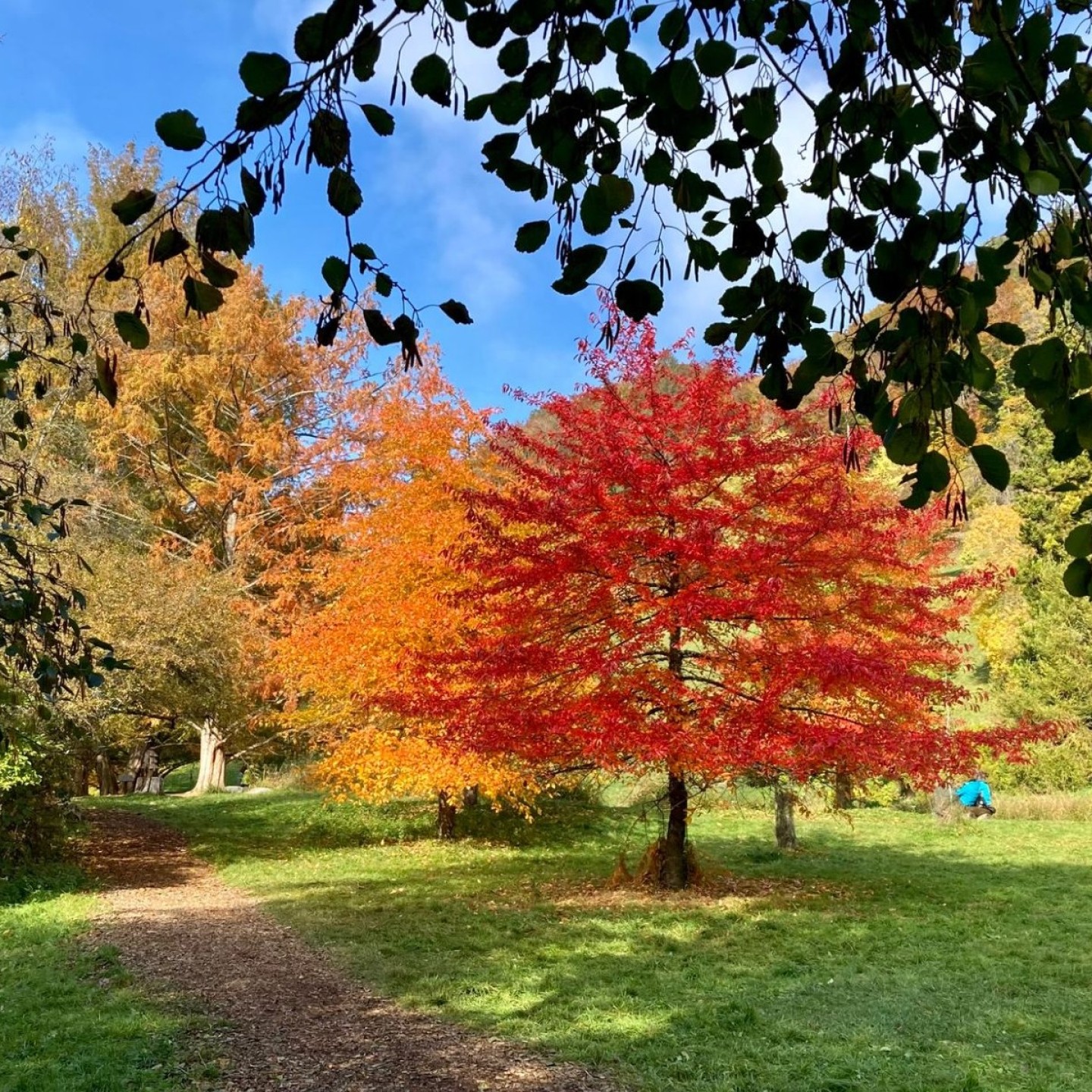Automne4