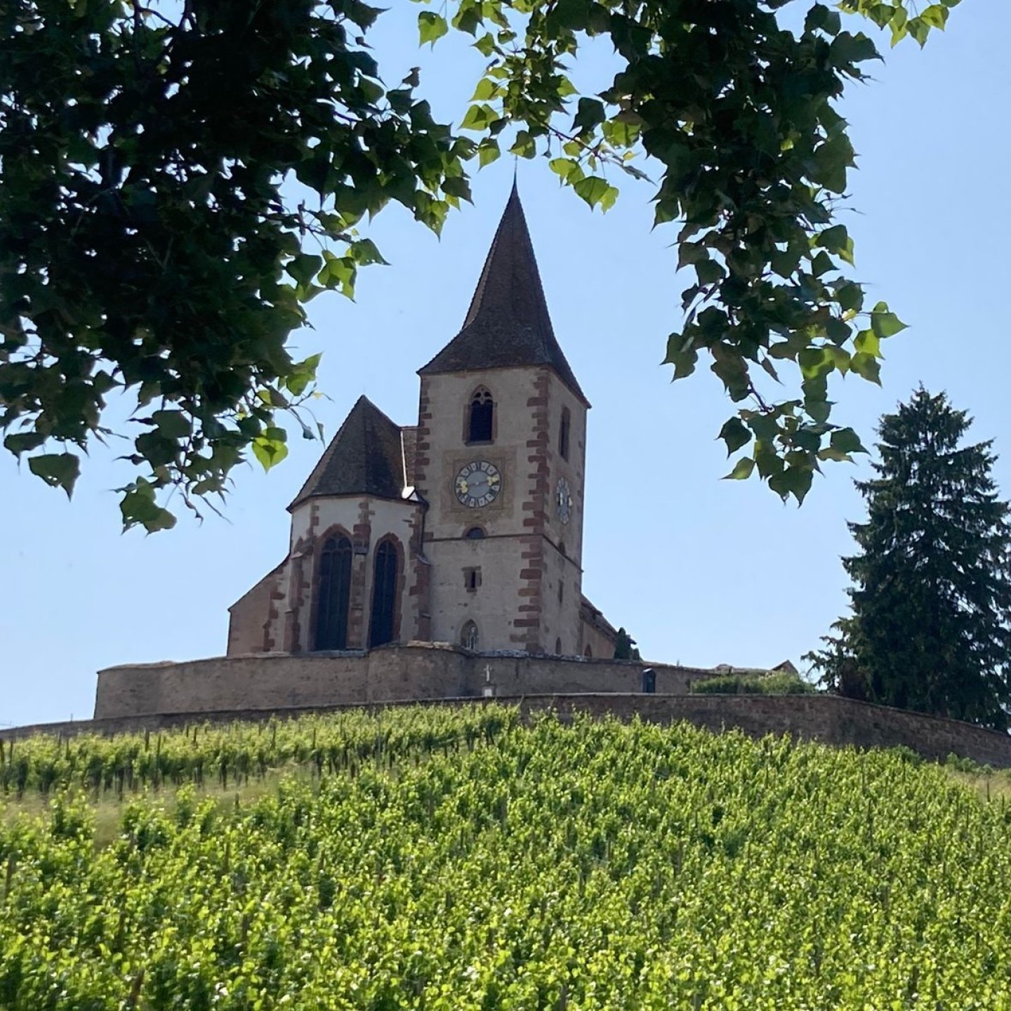 01_alsace