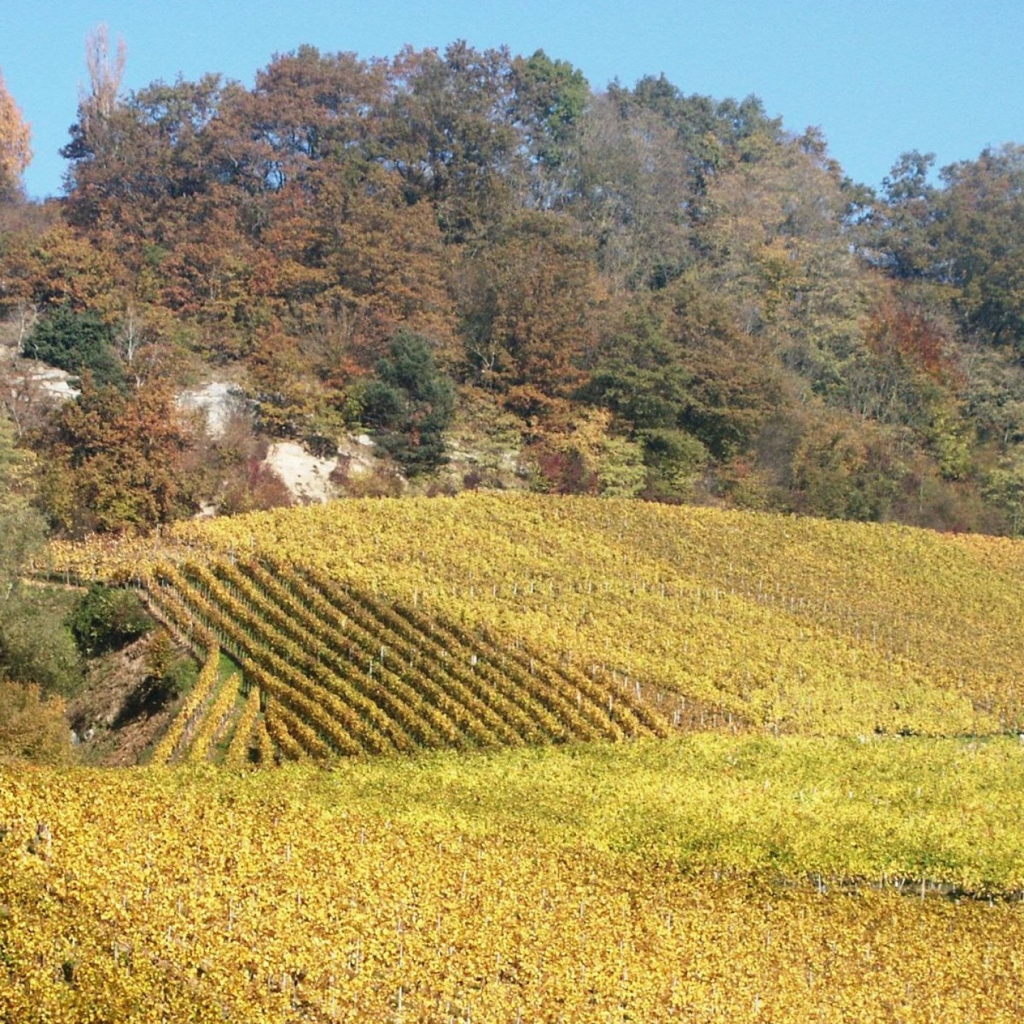 Herbst