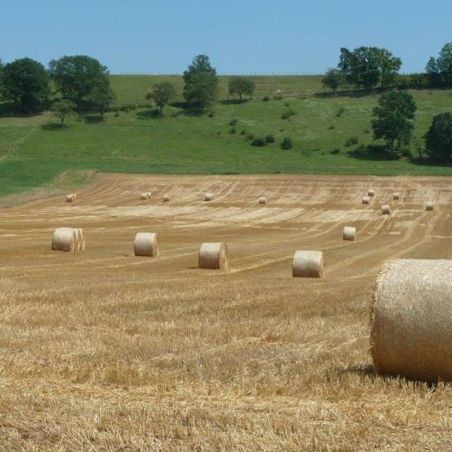 Eté1